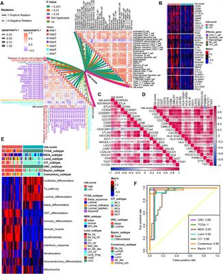 TNF Family–Based Signature Predicts Prognosis, Tumor Microenvironment, and Molecular Subtypes in Bladder Carcinoma